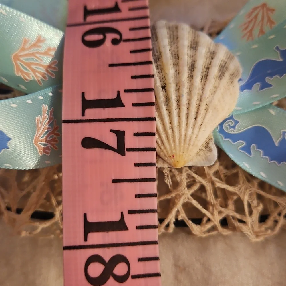 Seashell Ribbon Wreath Handmade Coastal Wall Decor